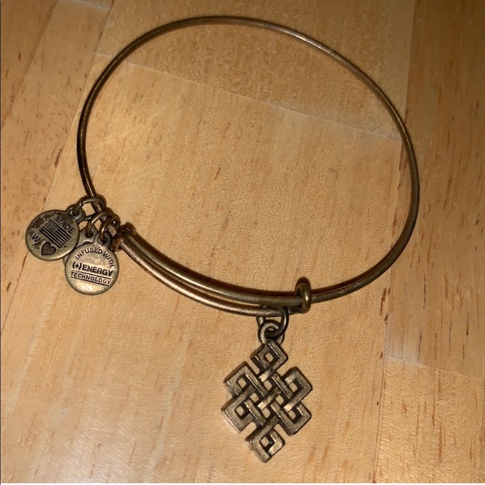 Alex and Ani Energy Pathway Bangle Charm Bracelet